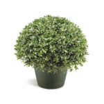 FriendlyBushGang