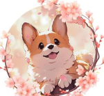 LOLA THE CORGI