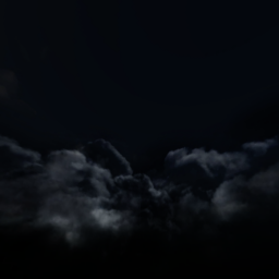 scary night in the forrest