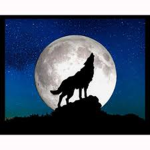 The Sky Wolf Pack