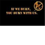 Hunger Games Career Club
