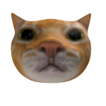 SpaceCatsGroup
