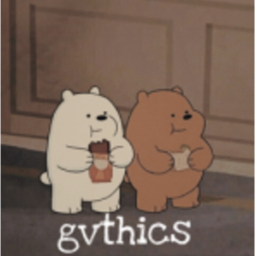 gvthics homestore