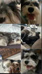 My Crusty Crew