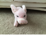Pink bunny hop hop