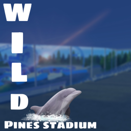 Dolphin stadium | WPS |
