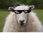 The Lords Of Sheep
