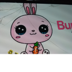 BunBun Fan Squad!