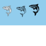 Shark..group!