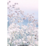 ~Aesthetic_Angels~
