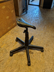 Professional Sitting