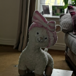 Bahama Llamas