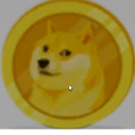 Doge coinZ