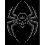 The SpiderSquad