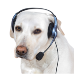 Operator Dog