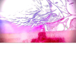 Goku wsp