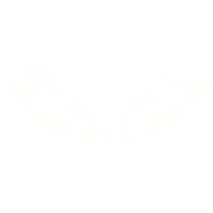 Glowing Cyber sigil Wings (White) Roblox item