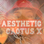 aesthetic cactus x🌵