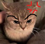 Super Mad games