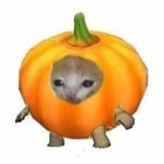 ayyyyyyyyyyyyyyyyyyyyyyyyyyyyyyyyyyyyyyyyyyyy