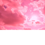 Bando's Merch!
