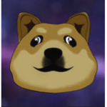 cooI doges