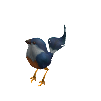 Eastern Bluebird