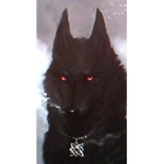 Alpha wolf UvU