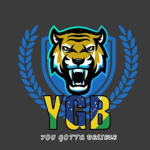 Rp brookhaven y g b esport