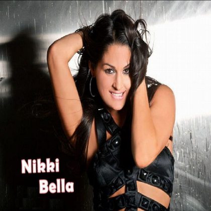 Nikki Bella Wallpaper Roblox decal