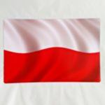 Polish Army 1920s