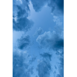 symphious