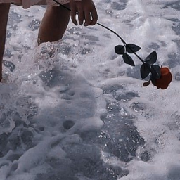 𝓅𝑜𝒾𝓃𝓉