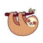 Darci likes sloths fan group!
