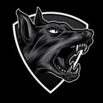 BlackDog Studios