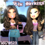 THE BIRKINS ୨୧