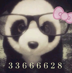 rawrrzz :3