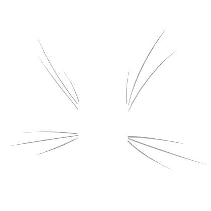 Cat Whiskers