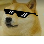 DOGE 4 Life Club