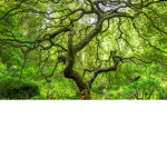 Ways to save earth