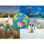 Save the Animals and our planet!