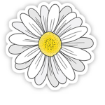 Lil daisys