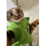 -Kat’s Clothing-