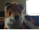 The Fox ##########