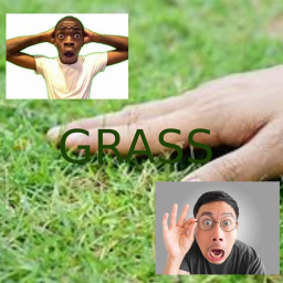 il go outsite & touch grass