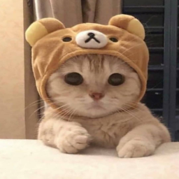 ʕ ̳• · • ̳ʔ