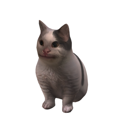Beluga Cat Suit Roblox NoFilter