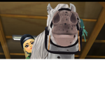 The Star Stable Horse Squad