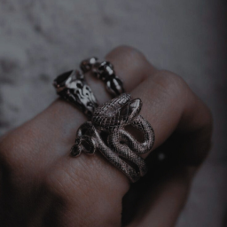 𝖙𝖍𝖊