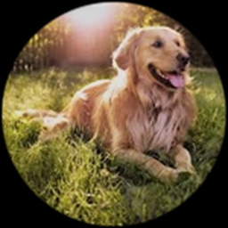 Gabriels party event icon